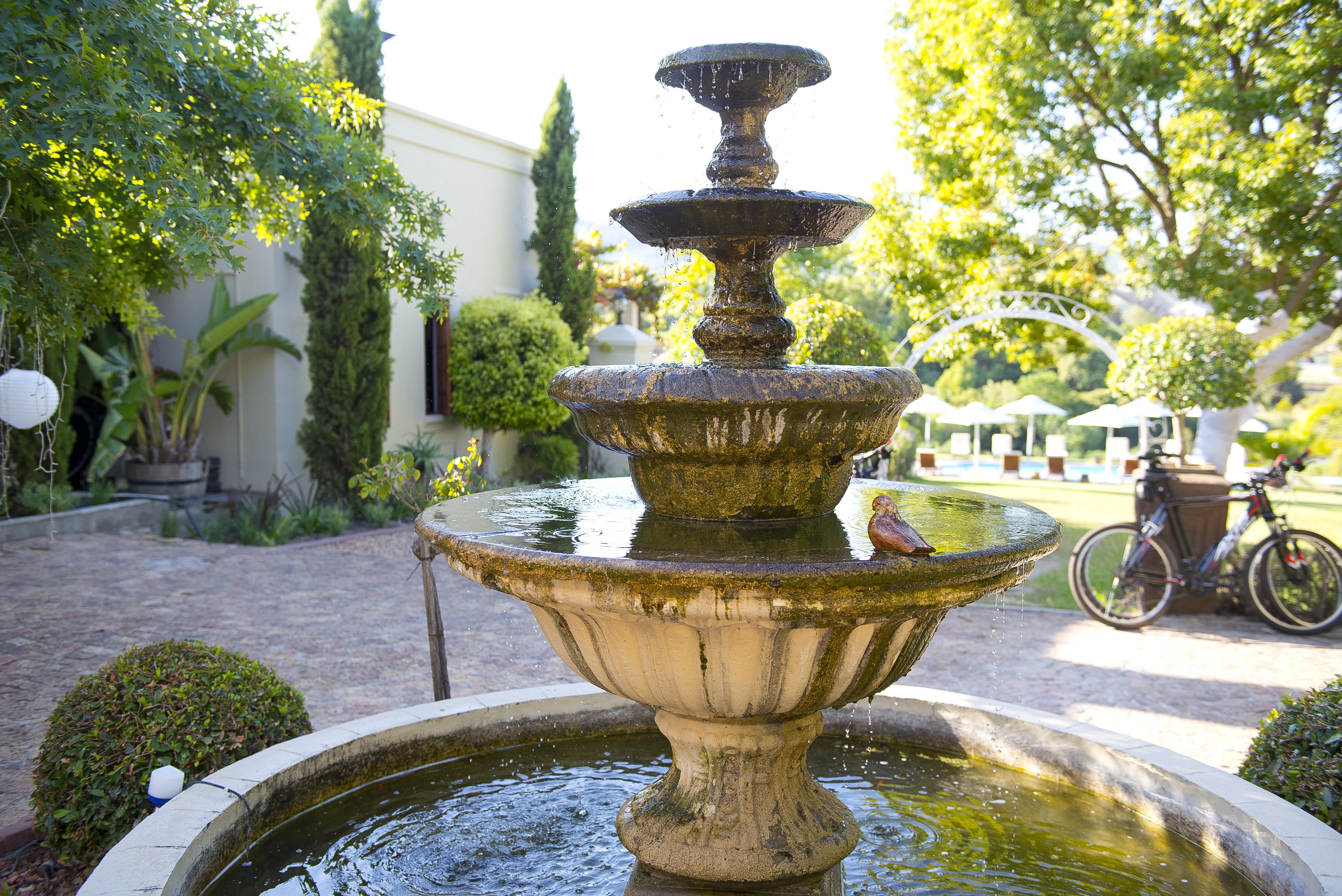 Cultivar Boutique Hotel Stellenbosch Exterior foto